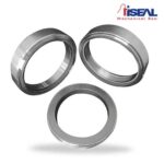 mechanical-seal-isb800