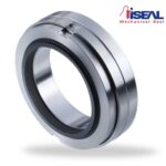 mechanical-seal-ish10-h8